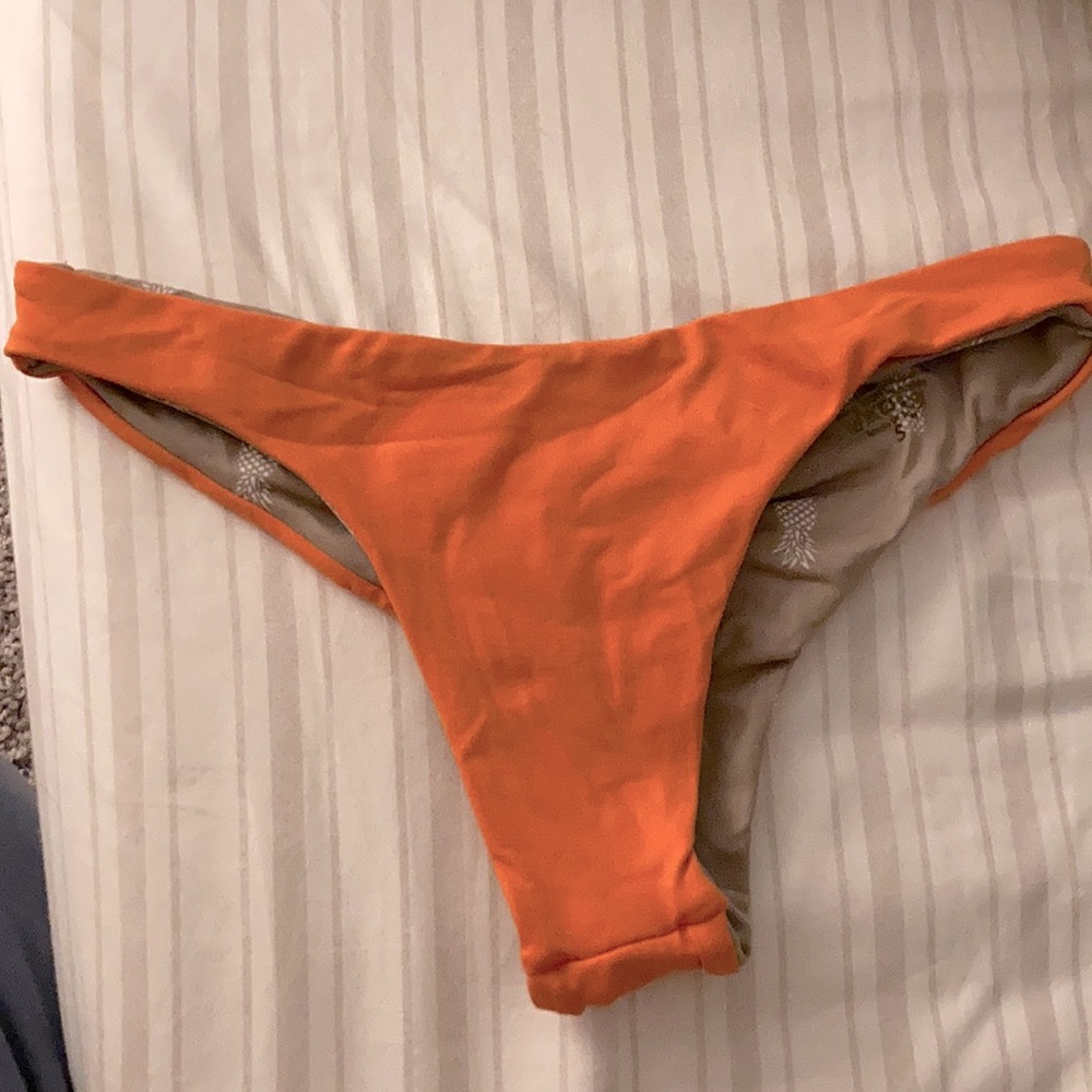 Midori Kai Coral Bottom